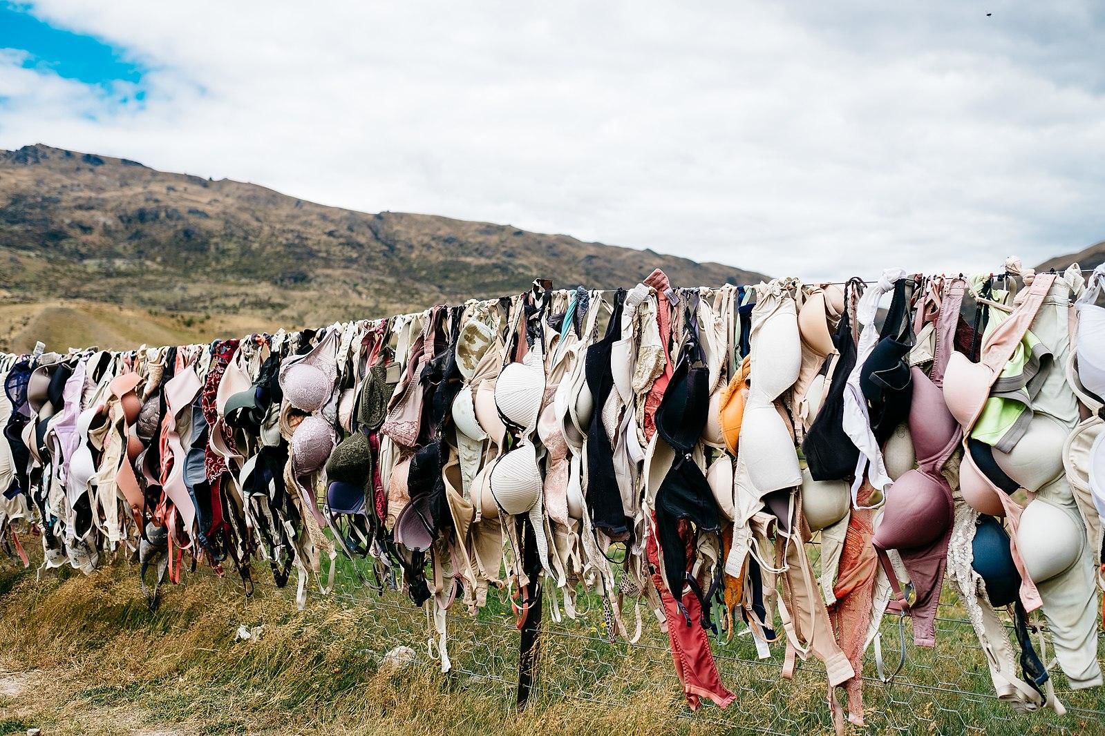 Donate bras